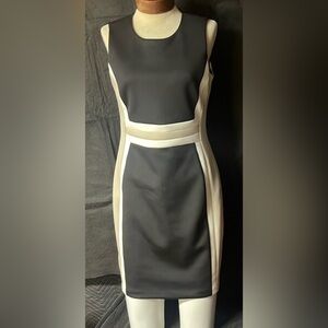 Calvin Klein size 10 dress